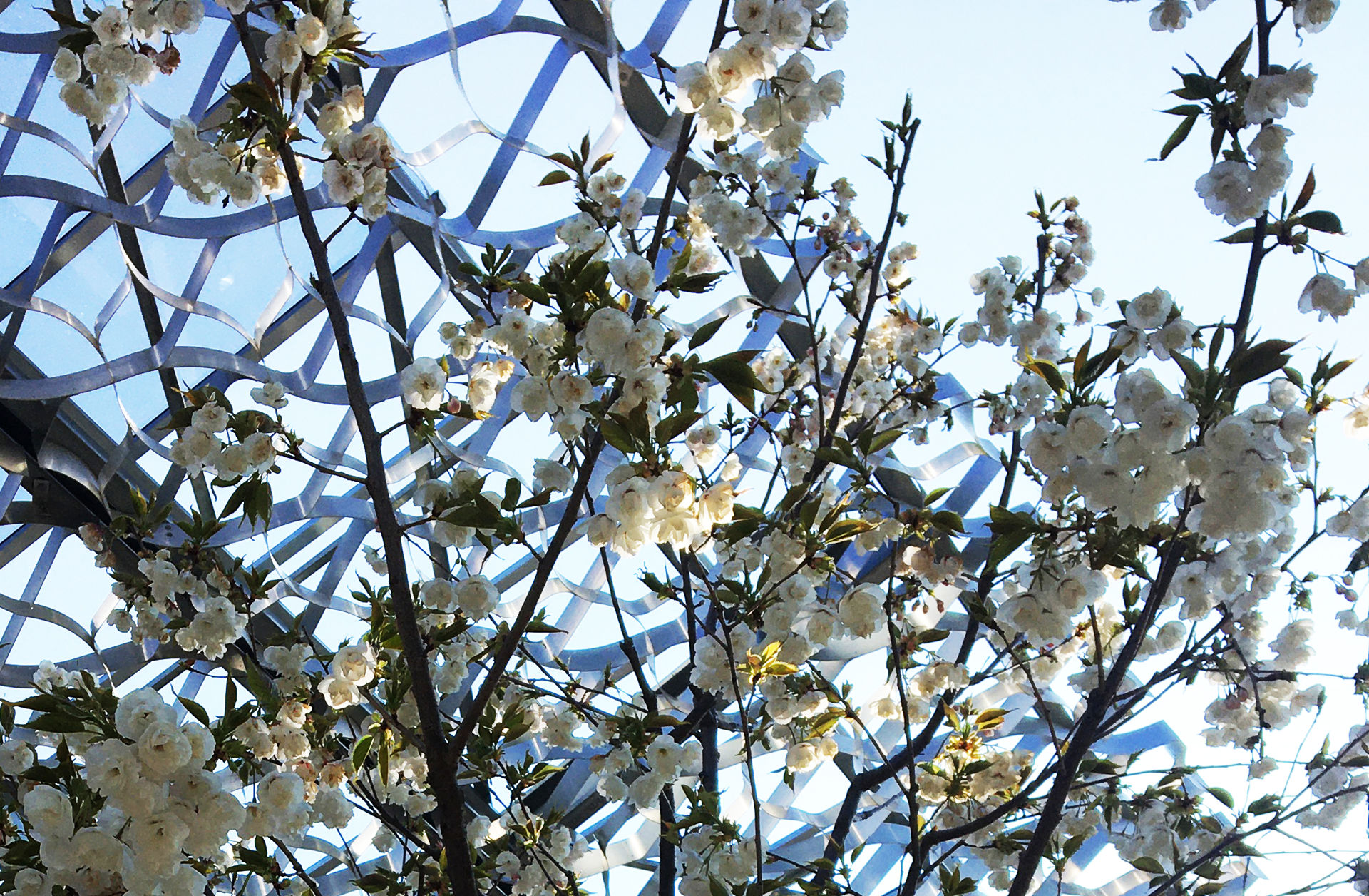 ACTUALITE :  STEEL : Printemps / Lumière matières graphisme